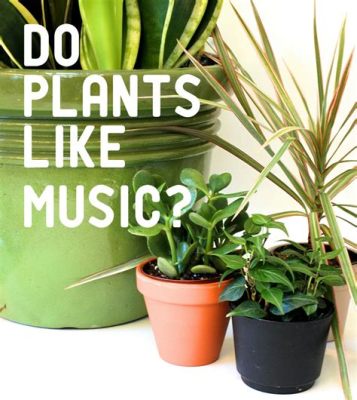 can music help plants grow? does it really matter?